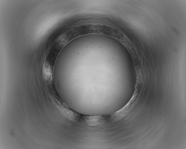 X0000112350191200908131436