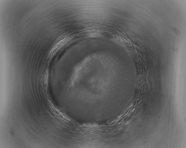 X0000112350194200908131435