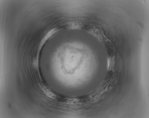 X0000112350195200908131435