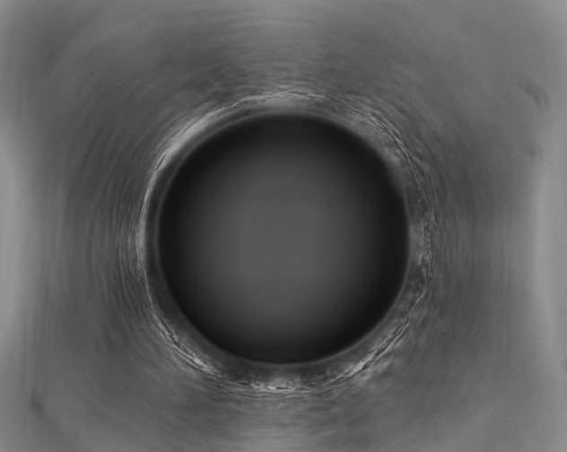 X0000112350196200908131435