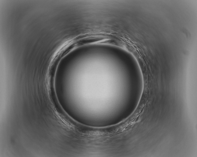 X0000112350197200908131435