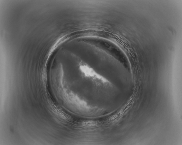 X0000112350198200908131435