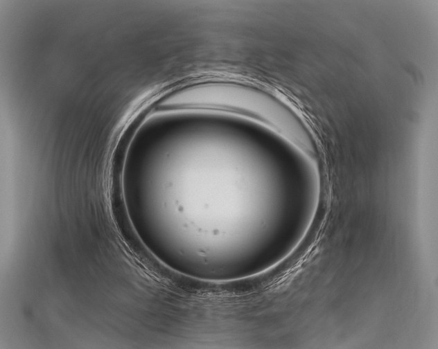 X0000112350199200908131435