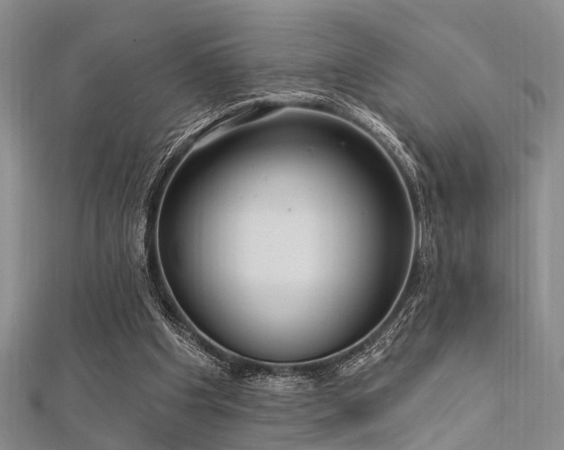 X0000112350201200908131435