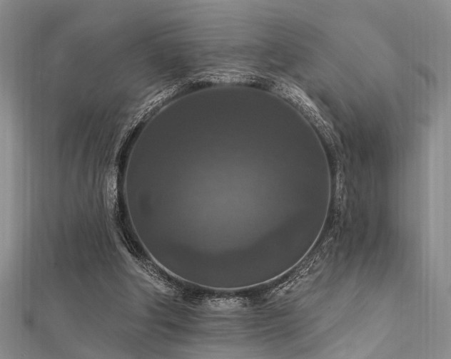 X0000112350202200908131435
