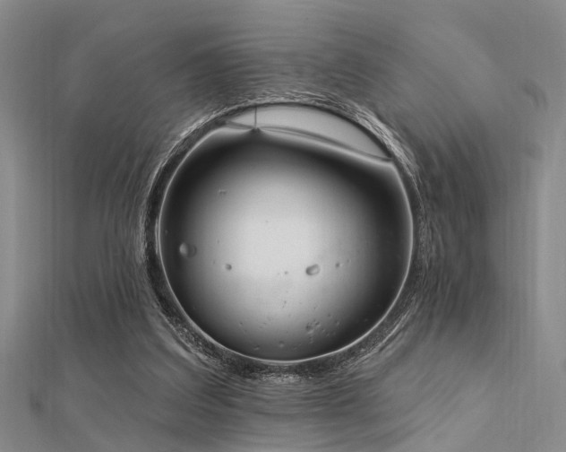 X0000112350203200908131435