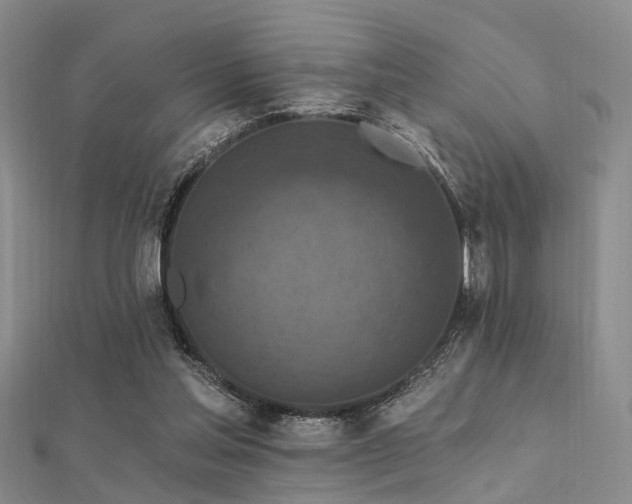 X0000112350205200908131435