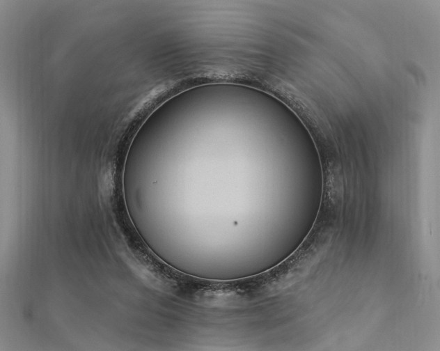 X0000112350208200908131435