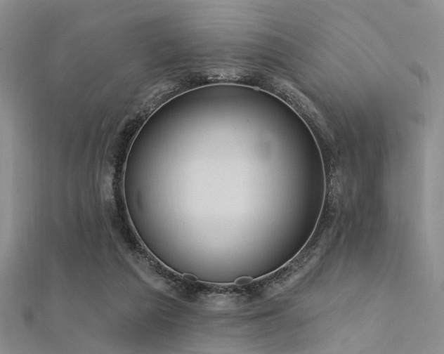X0000112350209200908131435