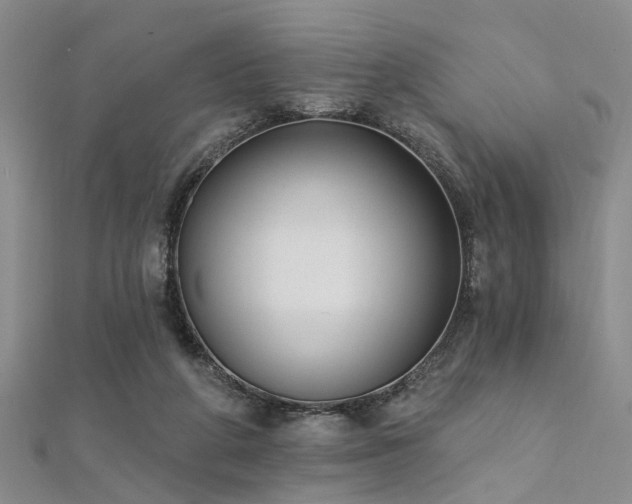 X0000112350210200908131435