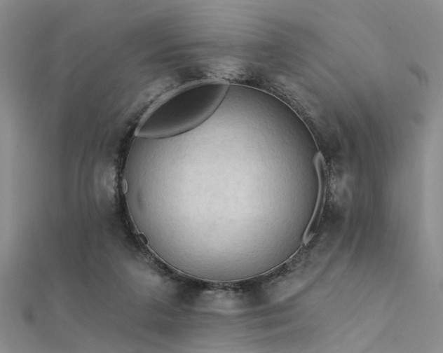 X0000112350211200908131435