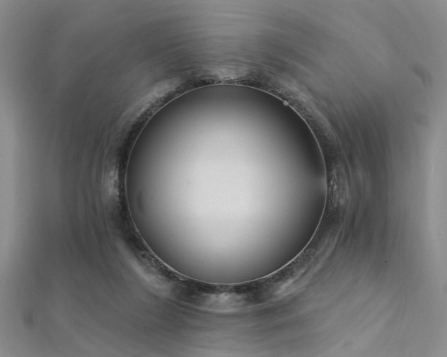 X0000112350212200908131435