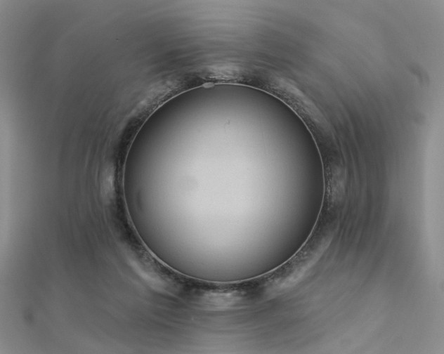 X0000112350213200908131435