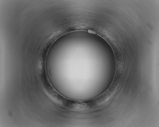X0000112350215200908131435