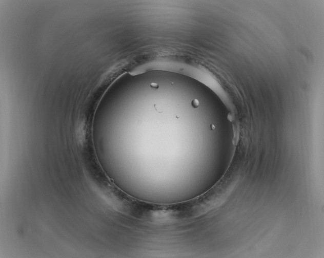 X0000112350216200908131435