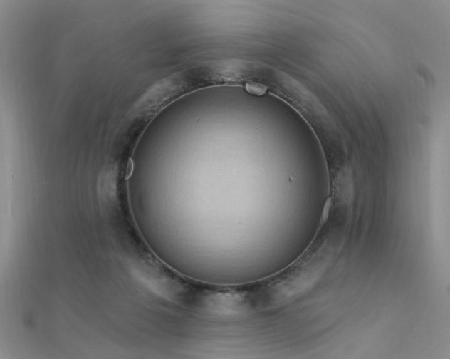 X0000112350217200908131435