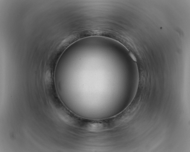 X0000112350220200908131435