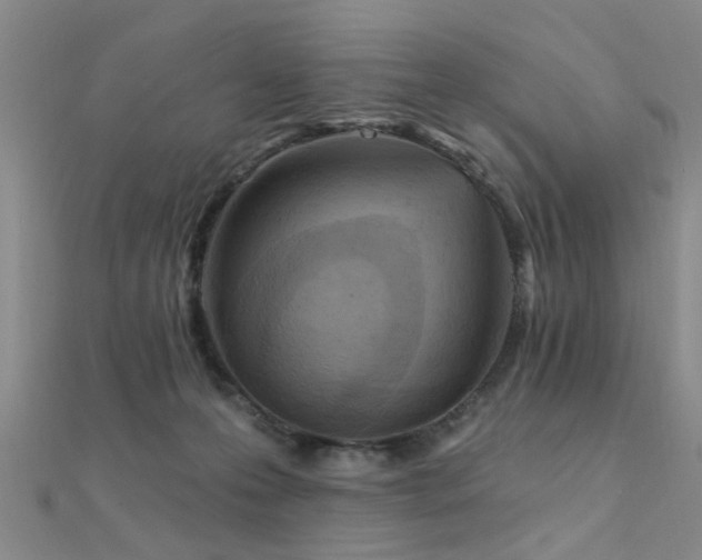 X0000112350223200908131435