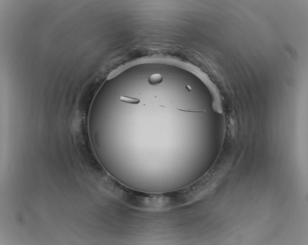 X0000112350225200908131435