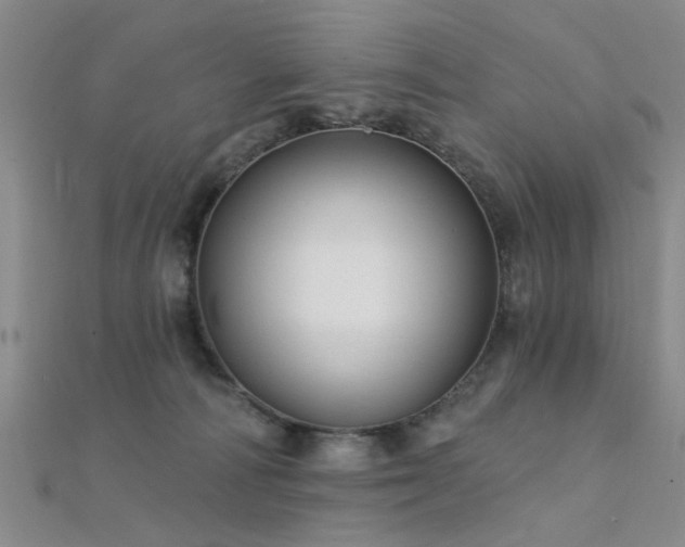 X0000112350226200908131435