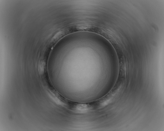 X0000112350227200908131435
