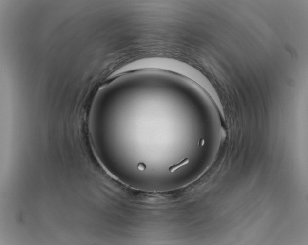 X0000112350229200908131435