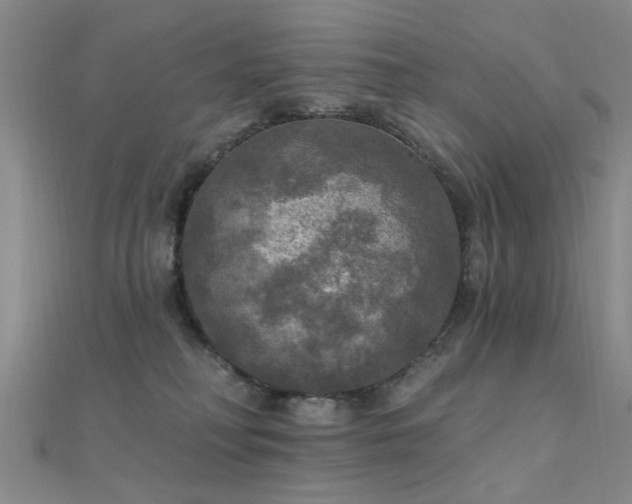 X0000112350230200908131435