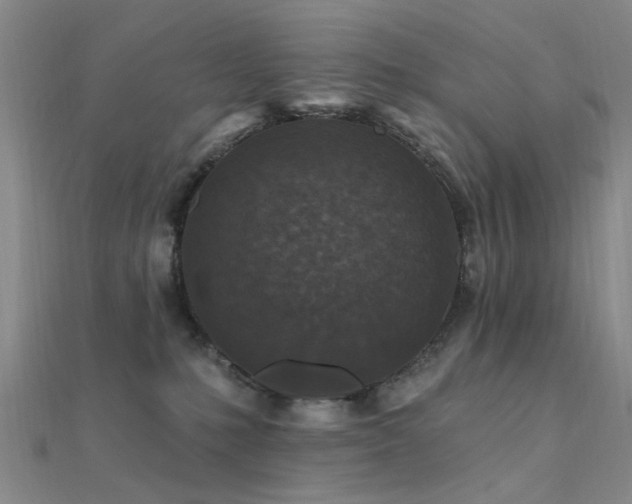 X0000112350231200908131435