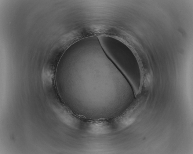 X0000112350235200908131435