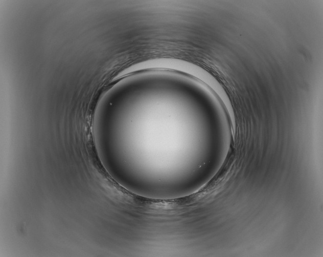 X0000112350237200908131435