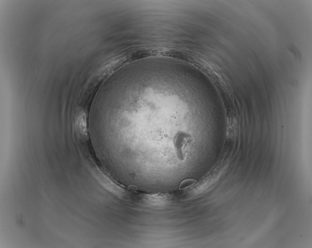 X0000112350238200908131435