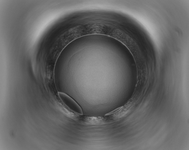 X0000112350239200908131435