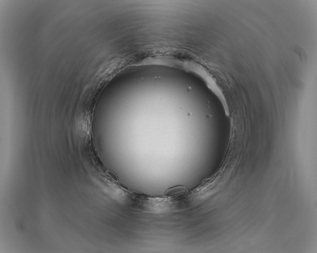 X0000112350240200908131435