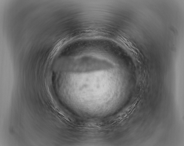 X0000112350241200908131434