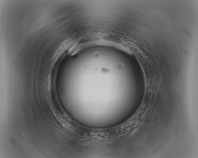 X0000112350242200908131434