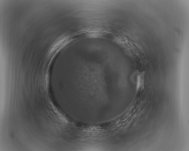 X0000112350243200908131434