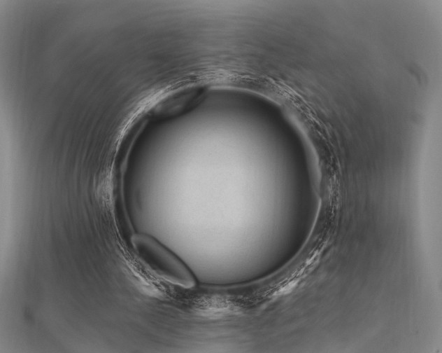 X0000112350244200908131434