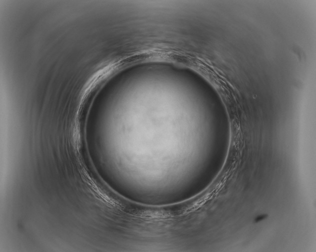 X0000112350245200908131434