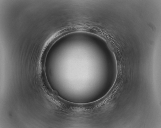 X0000112350246200908131434