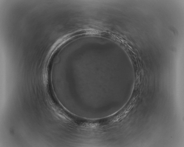 X0000112350247200908131434