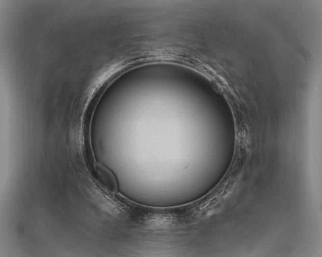 X0000112350248200908131434
