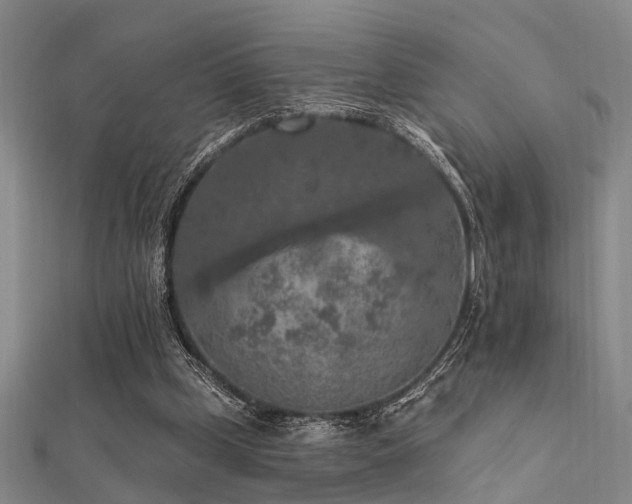 X0000112350249200908131434