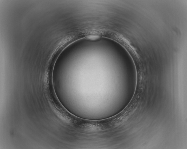 X0000112350250200908131434