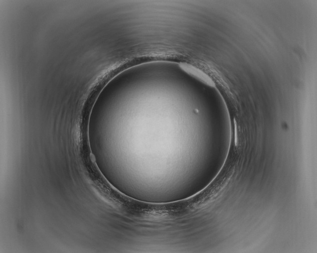 X0000112350252200908131434