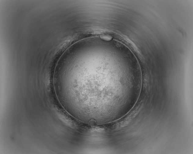 X0000112350257200908131434