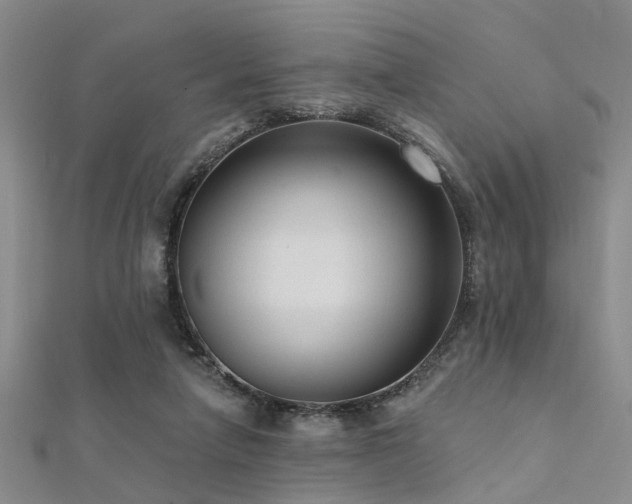 X0000112350258200908131434