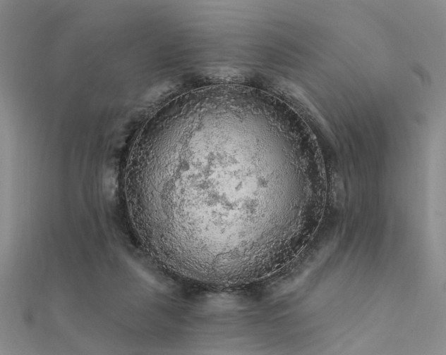X0000112350259200908131434