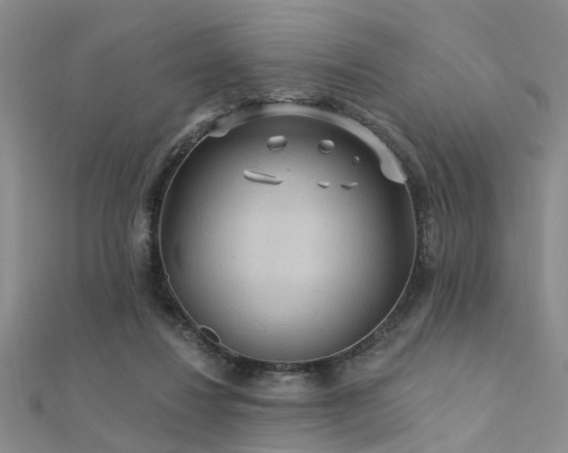 X0000112350260200908131434