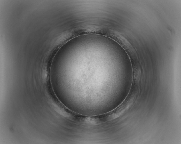 X0000112350261200908131434