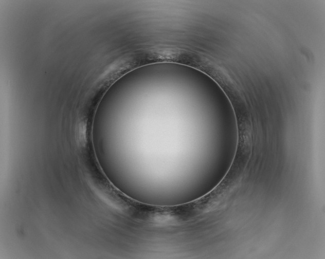 X0000112350262200908131434